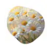 Madeliefjes - Wit - Zonlicht Wandcirkel Organisch Plexiglas middel -3d
