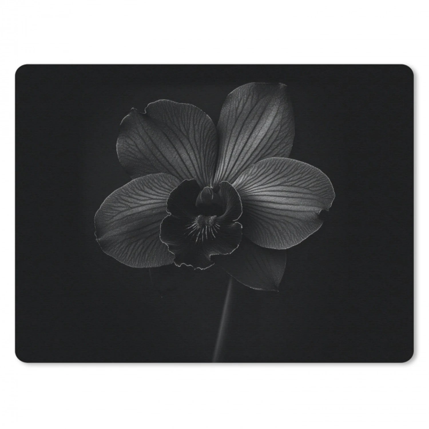 Zwart - Bloem - Orchidee muismat rubber klein -3d