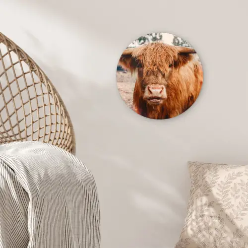 Koe- Schotse hooglander - Hoorns - Bruin - Landschap Wandcirkel kunststof plaat 5mm dik klein -sfeer5