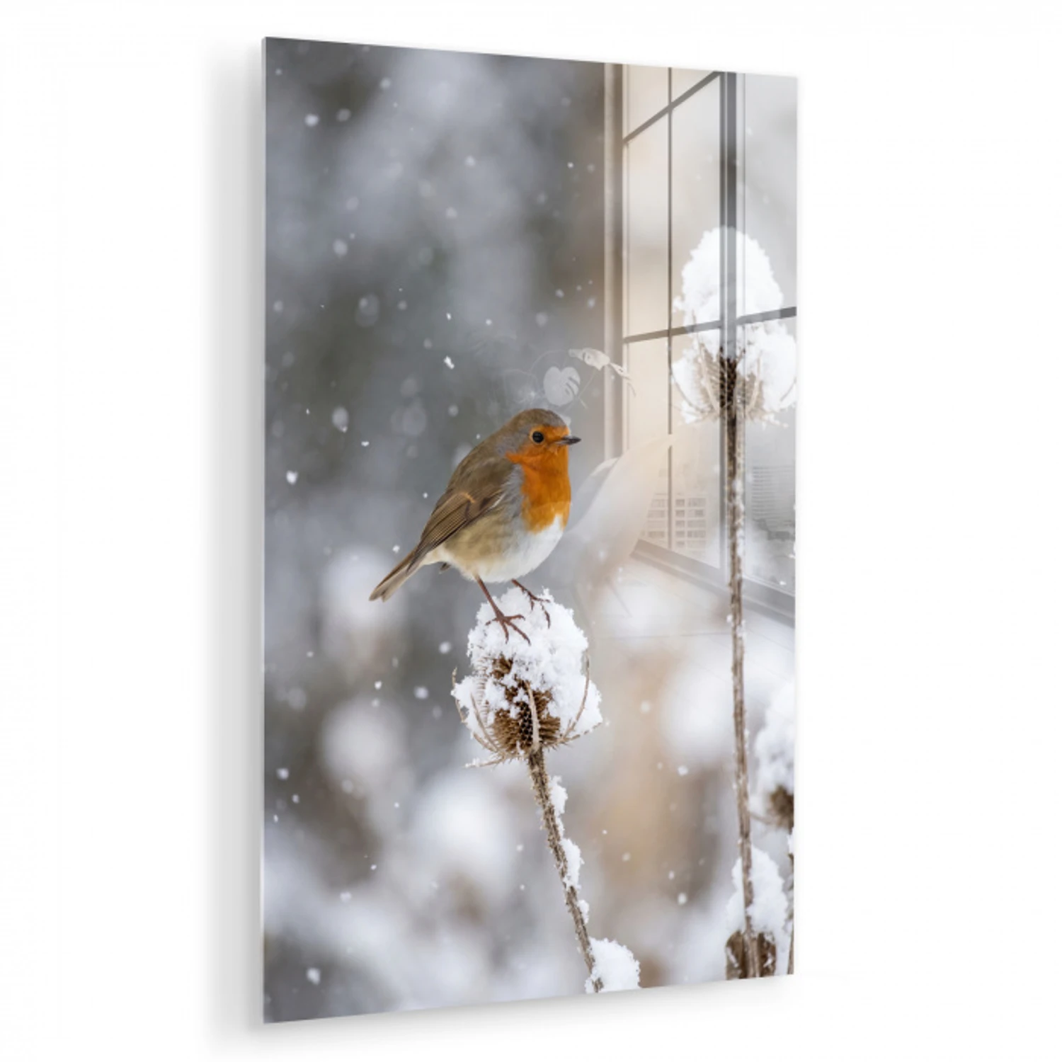 Roodborstje - Gedroogde bloem - Sneeuw - Winter - Vertederend plexiglas 5mm klein -zzzproduct_nieuw