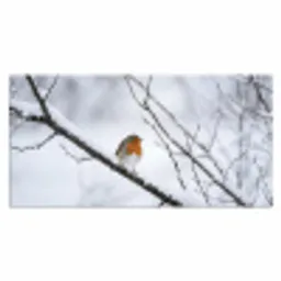 Roodborstje - Tak - Sneeuw - Winter - Levendig Muismat XXL klein -3d_leeg