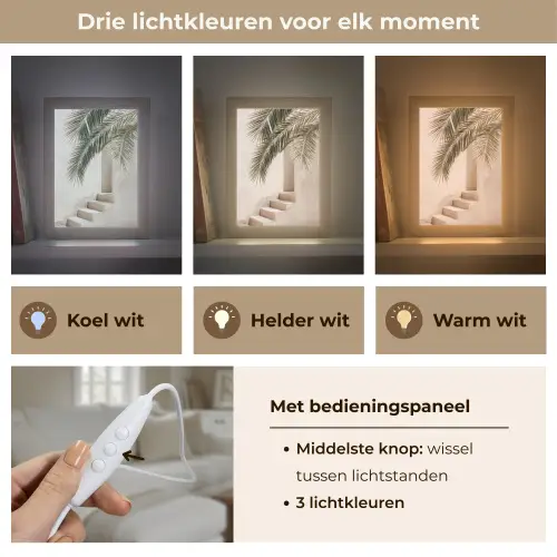 Palmboom - Schaduw - Trap - Beige Light Box met kabel (Tafellamp) klein -USP_lichtkleurNL