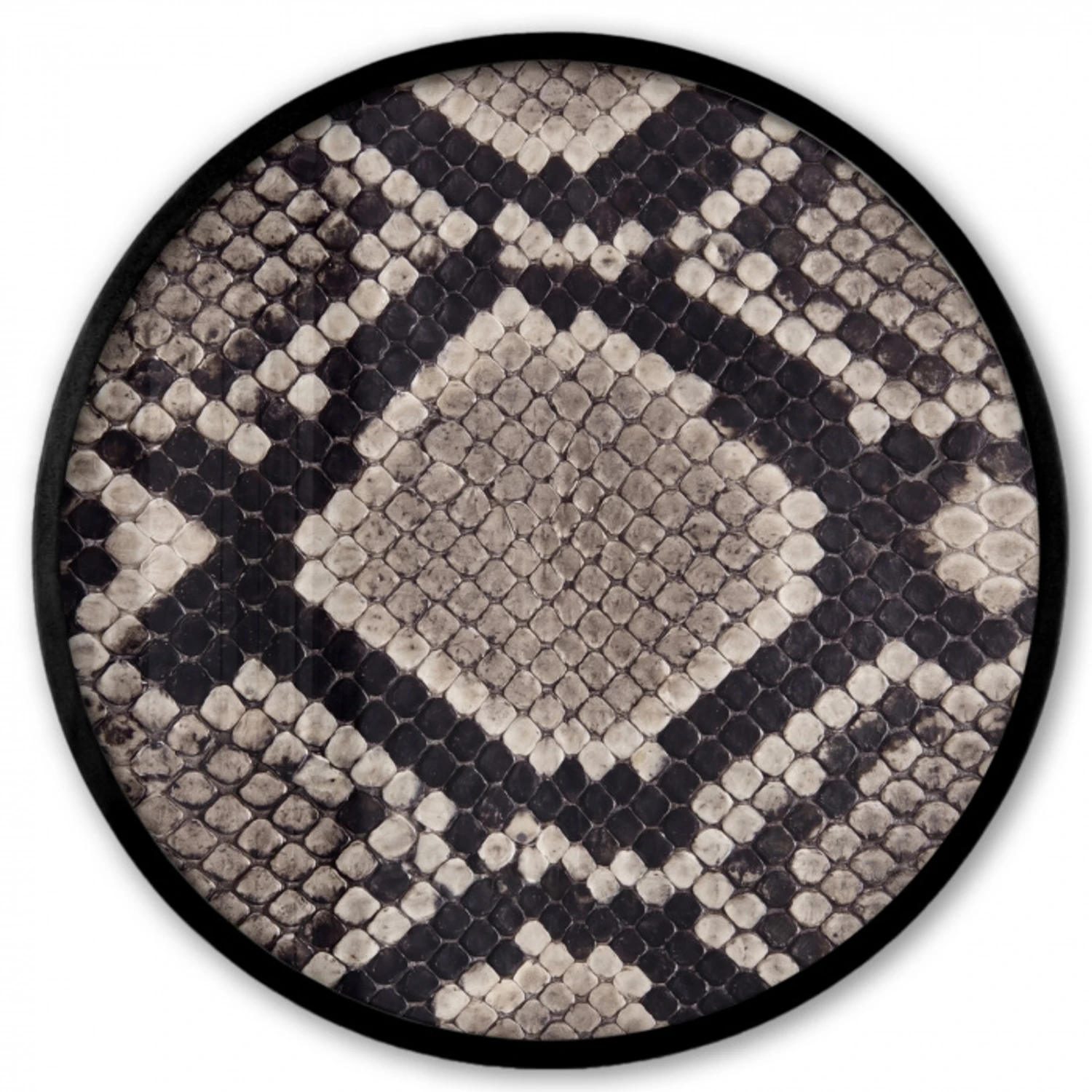 Slangenleer - Patroon - Beige Fotolijst rond zonder passe partout klein -3d