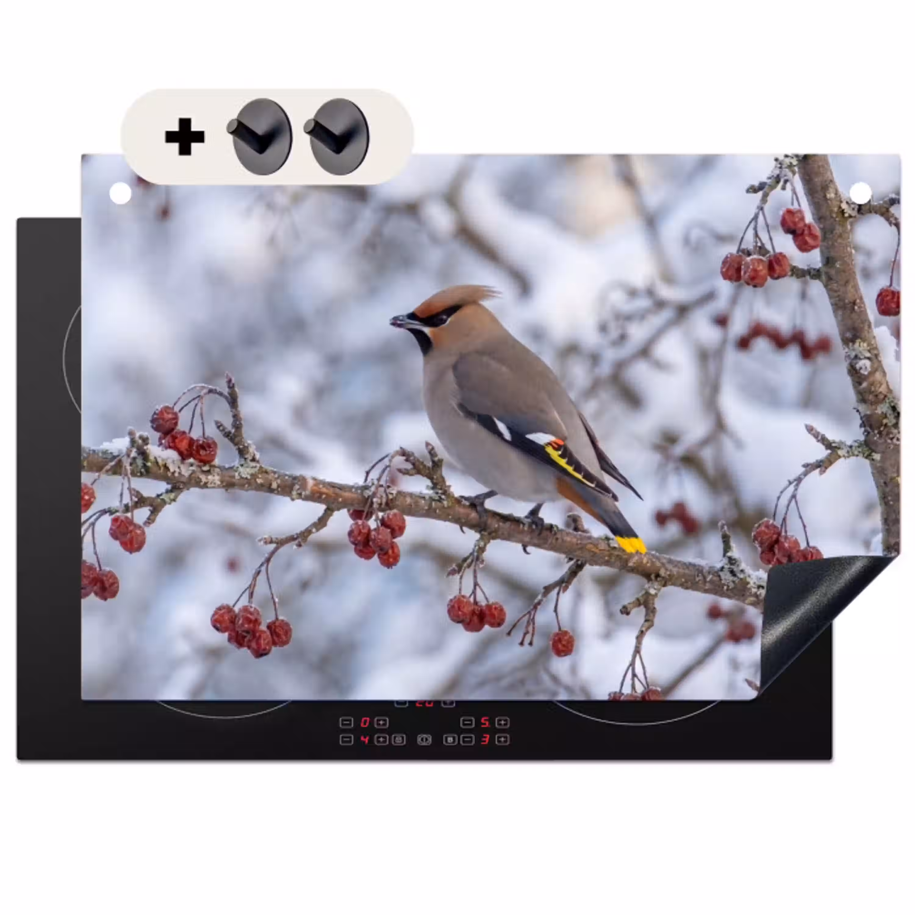 Pestvogel - Bessen - Winter - Natuur Inductie beschemer met haakjes klein -3d