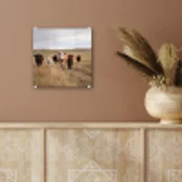 Runderen - Kudde - Landschap - Weide - Rustig plexiglas 5mm klein -sfeer5