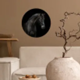 Paard - Dieren - Zwart - Portret Wandcirkel behangsticker klein -sfeer1