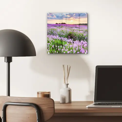 Lavendel - Bloemen - Zonsondergang - Paars - Weide plexiglas 5mm klein -sfeer6