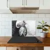 Vissen - Chef - Zwart - Wit keuken achterwand spatscherm klein -sfeer2