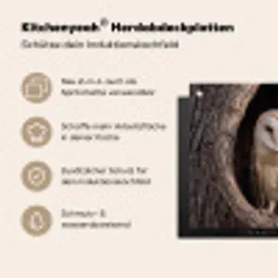 Kerkuil - Boom - Natuur - Bruin Inductie beschemer met haakjes klein -ky-usp-de