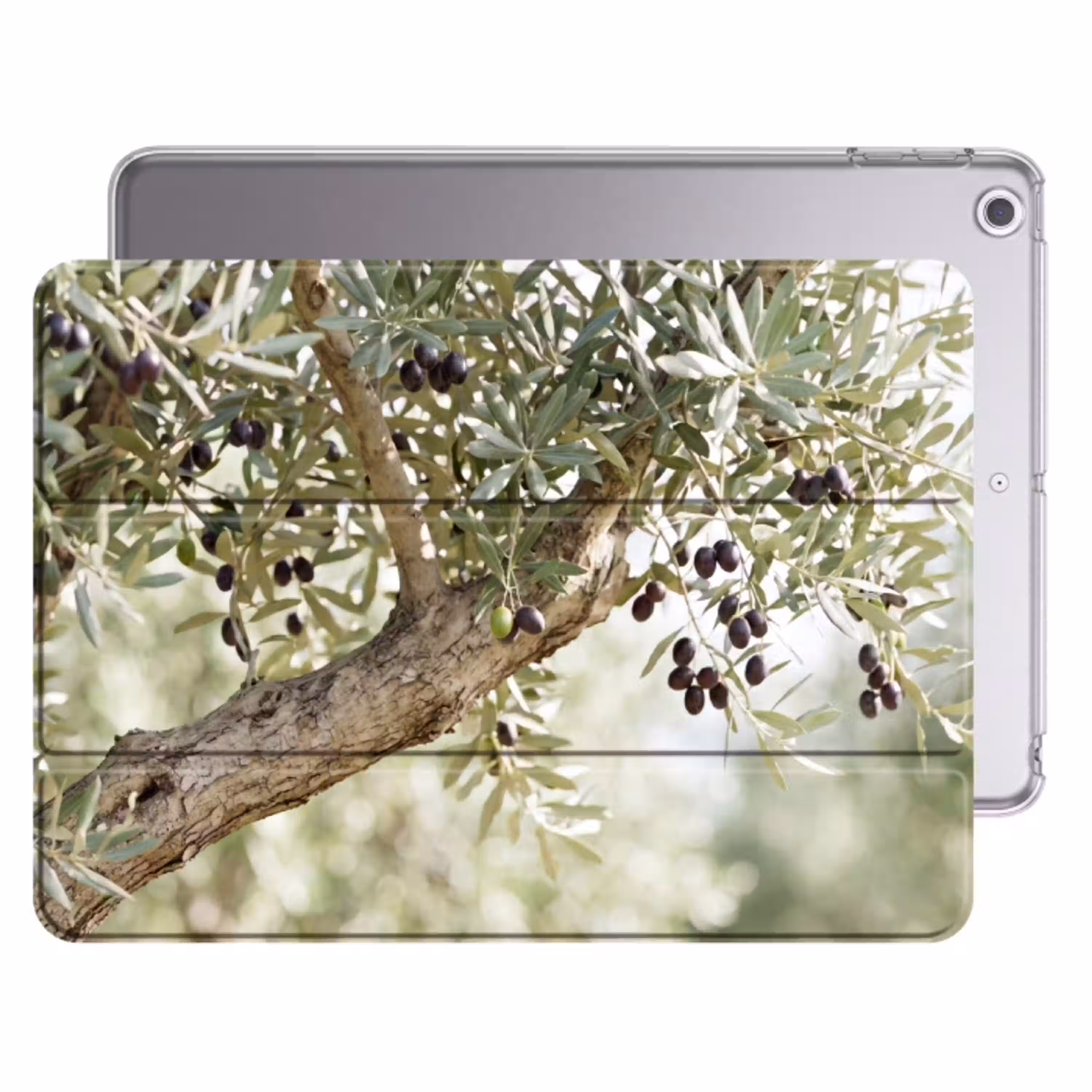Olijfboom - tak - groen Apple iPad 2017 middel -threedimensional_3d_global