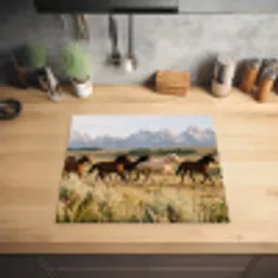 Paarden - Kudde - Bergen - Vrijheid - Wild Inductie beschermer vinyl 3mm middel -sfeer5
