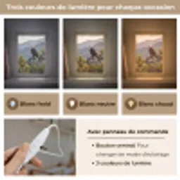 Zeearend - Boom - Bergen - Groen Light Box met kabel (Kinderlampje) klein -USP_lichtkleurFR