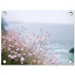 Klif - Bloemen - Zee - Roze tuinposter los doek klein -3d