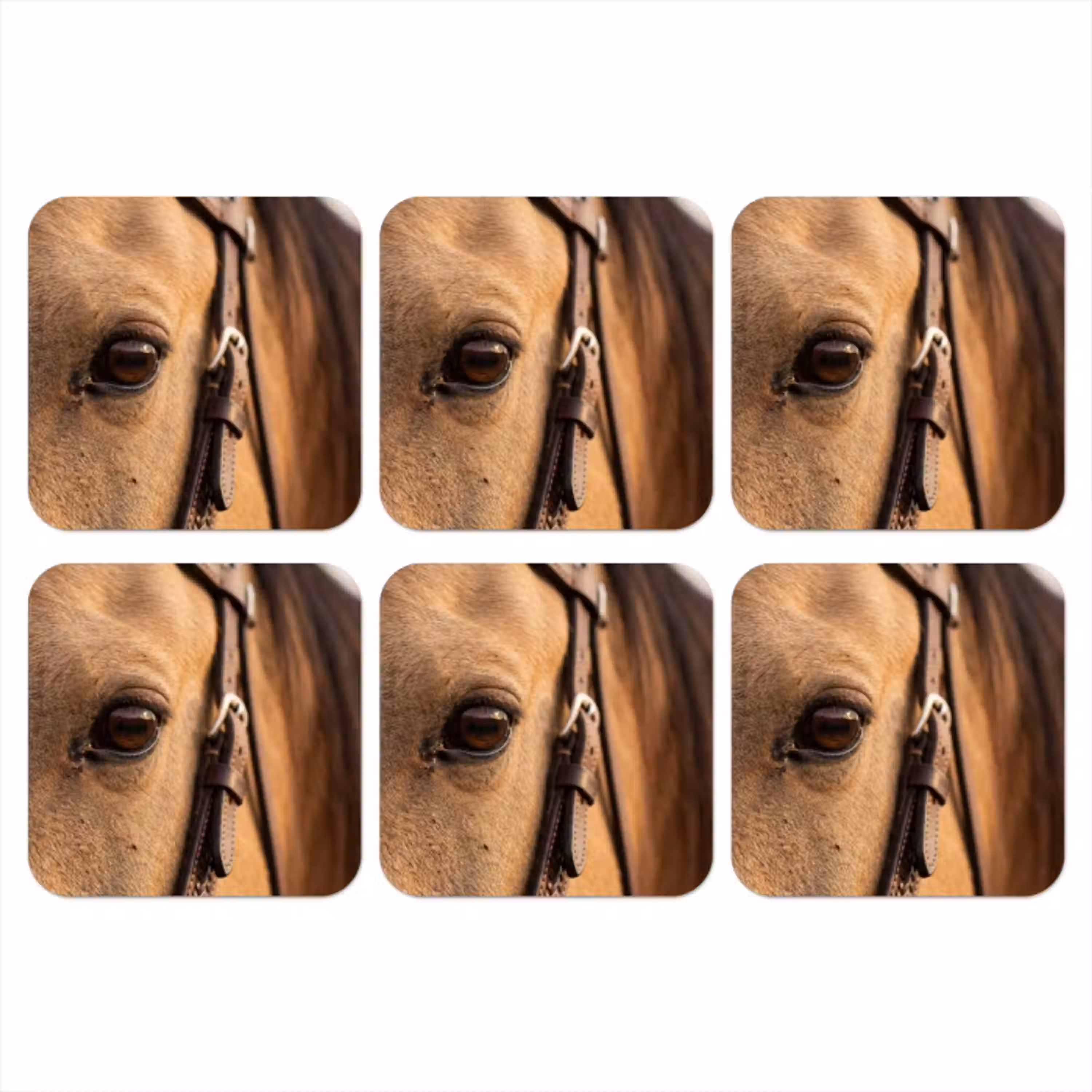 Paard - Oog - Bruin onderzetter kurk middel -3d