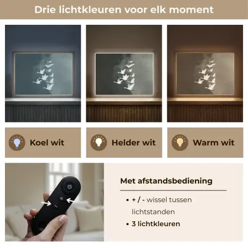 Vogel - Japandi - Groen Light Box met batterij (Wandlamp) middel -USP_lichtkleurNL