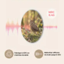 Houtsnip - Bos - Bladeren - Herfst - Gecamoufleerd Akoestische PET Vilt - Rond klein -USP_FR