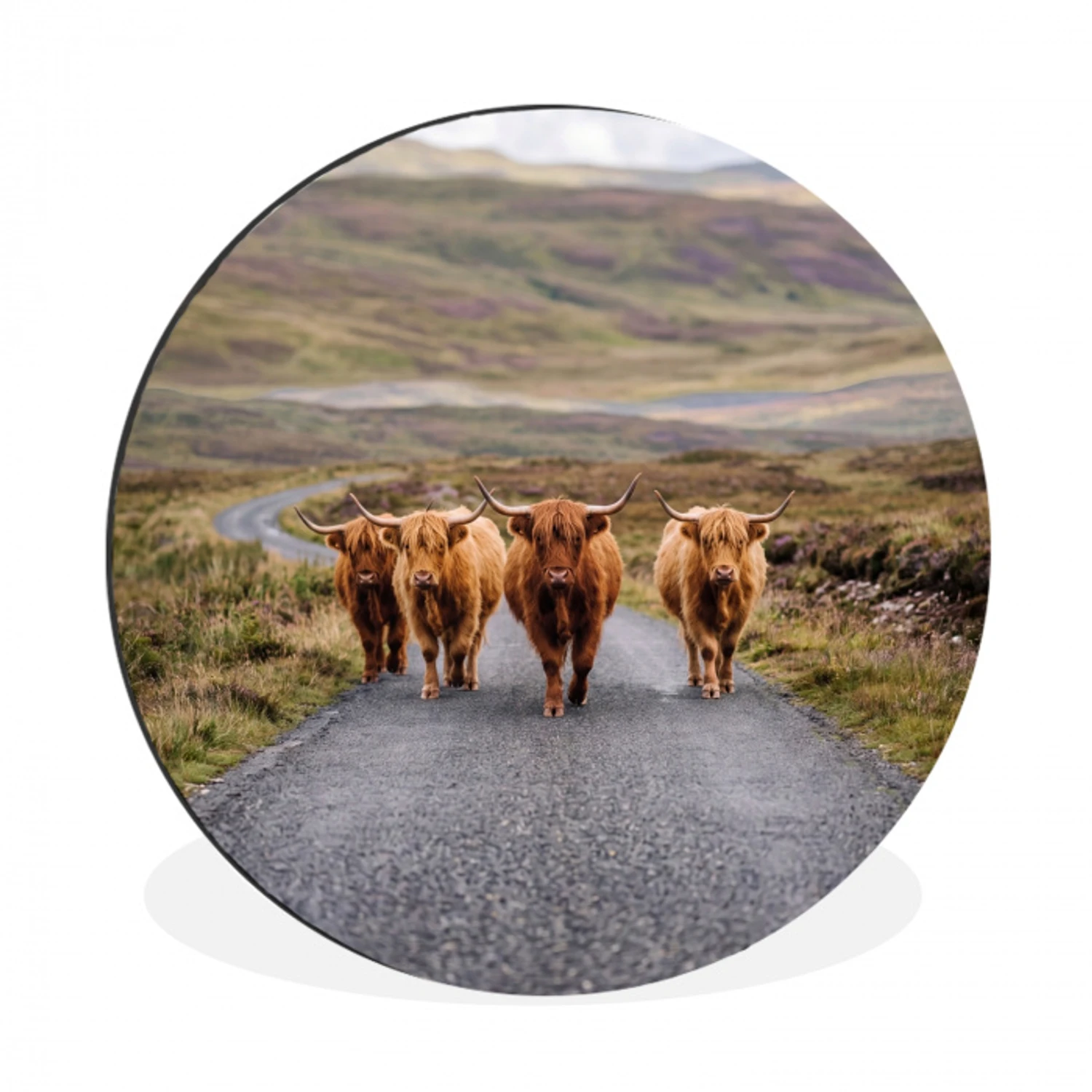 Schotse Hooglanders - Weg - Landschap - Kudde Wandcirkel aluminium klein -3d