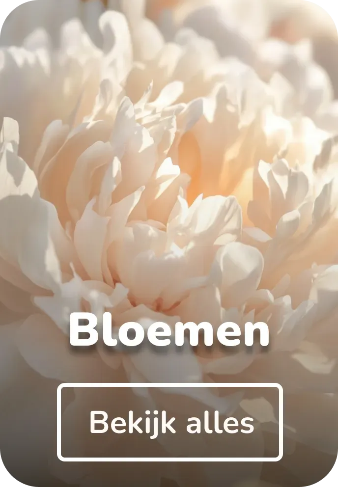 Wandkleed bloemen