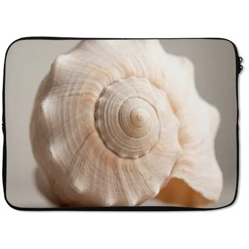 Schelp - Detail - Beige laptophoes neopreen klein -zkaufland3dotto