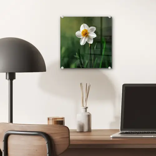 Narcis - Bloem - Wit - Grassprieten plexiglas 5mm klein -sfeer6