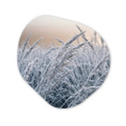 Rijp - Gras - Kristallen - Winter - Minimalistisch Wandcirkel Organisch Forex 3mm klein -3d