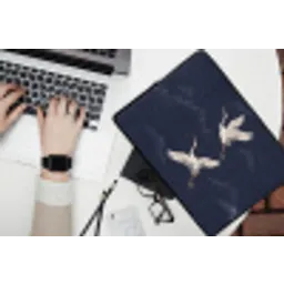 Kraanvogels - Nachthemel - Blauw laptophoes neopreen klein -bureau