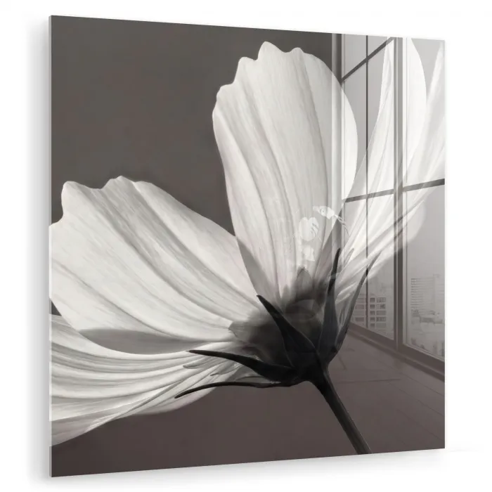 Bloem - Minimalistisch - Zwart - Wit plexiglas 5mm klein -zzzproduct_nieuw