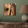 Paard - Oog - Bruin aluminium wit klein -sfeer2