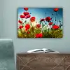 Klaprozen - Toscane - Zon - Rood - Blauw canvas 2cm klein -sfeer4