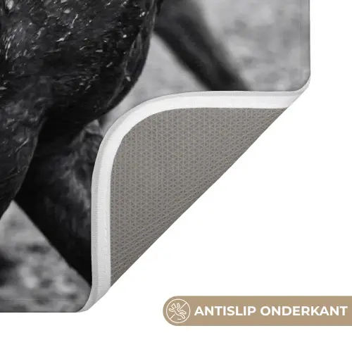 Paard - Sport - Zwart - Wit Badmat klein -USP_AntislipNL