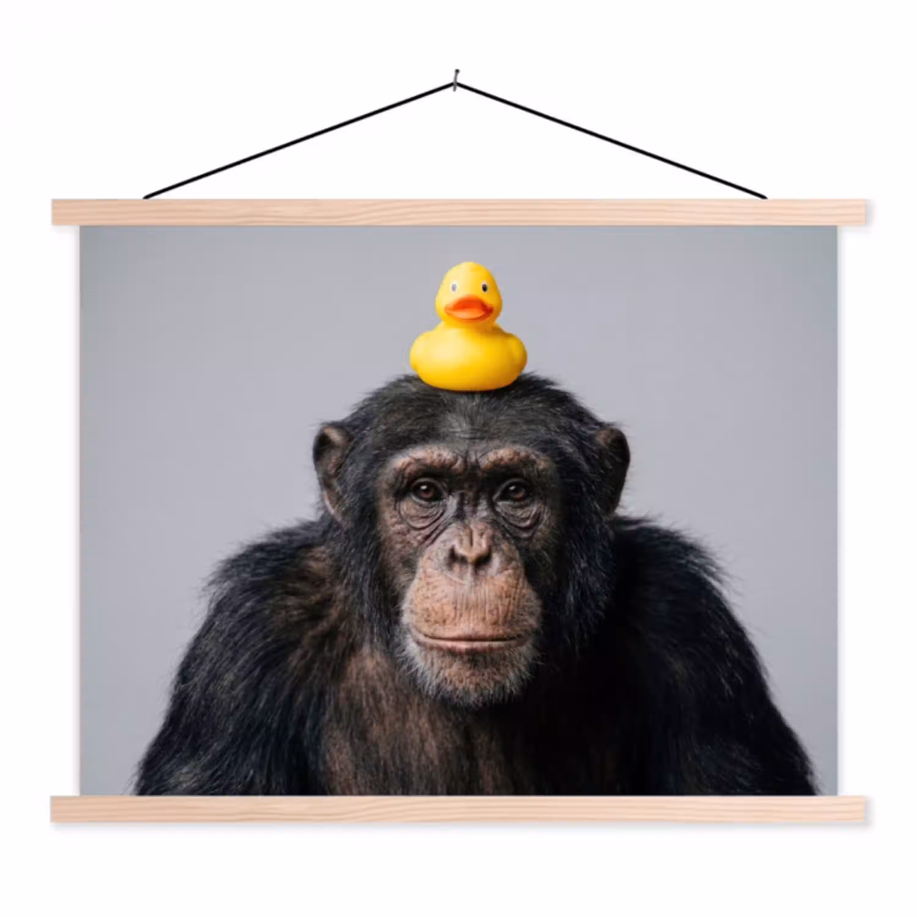 Chimpansee - Badeend - Grijs textielposter latten blank klein -3d