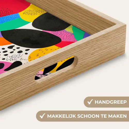 Vormen - Stippen - Kleurrijk Dienblad Rechthoek middel -USP_HandgreepNL