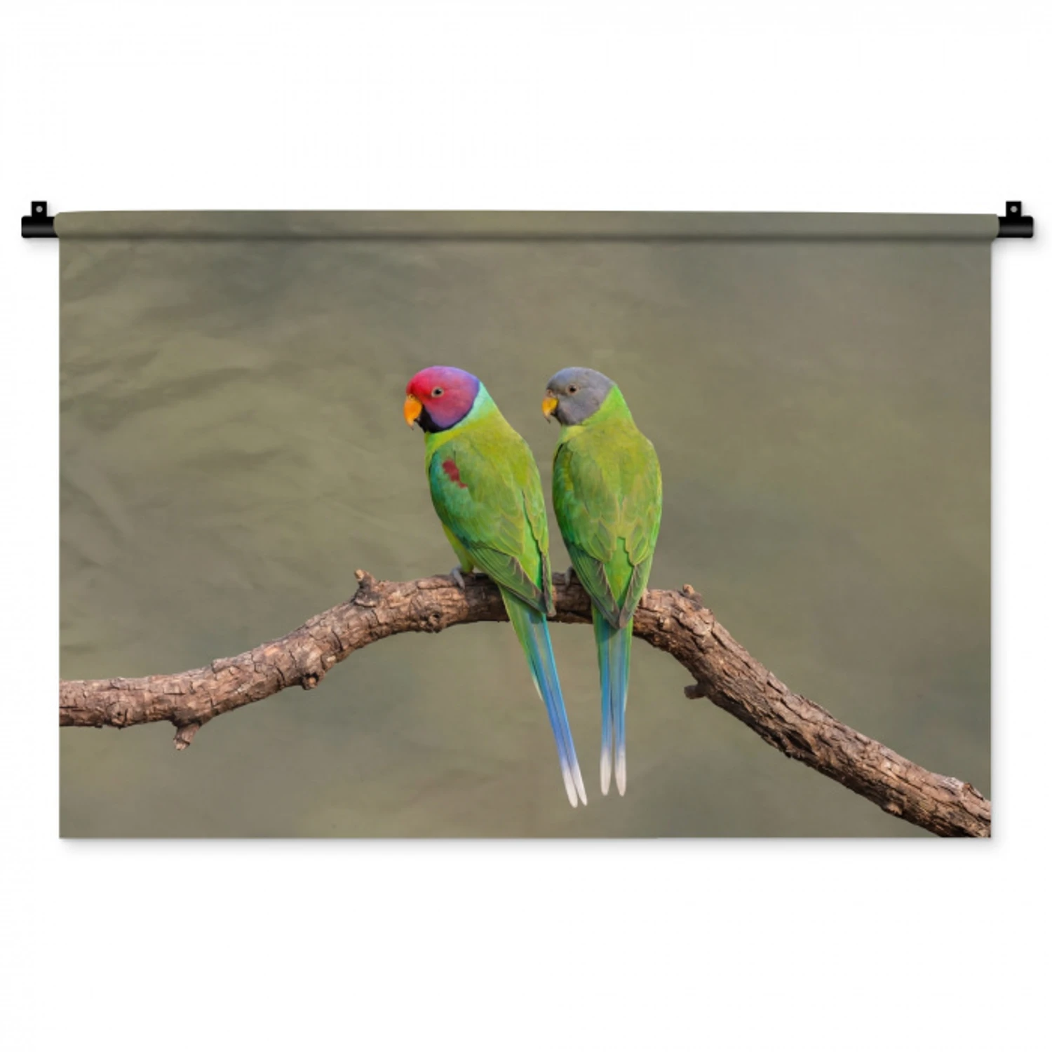 Papagaai - Tak - Natuur - Kleurrijk Wandkleed katoen middel -zz3d