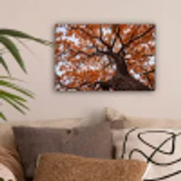 Boom - Bladerdak - Herfst - Oranje - Sfeervol canvas 2cm klein -sfeer1