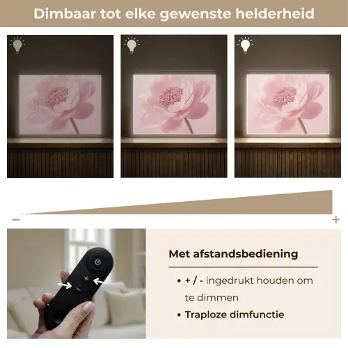Bloem - Pioenroos - Roze Light Box met batterij (Wandlamp) middel -USP_dimbaarNL