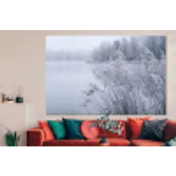 Riet - Bevroren - Winter - Natuur forex 5mm xxl -woonkamer