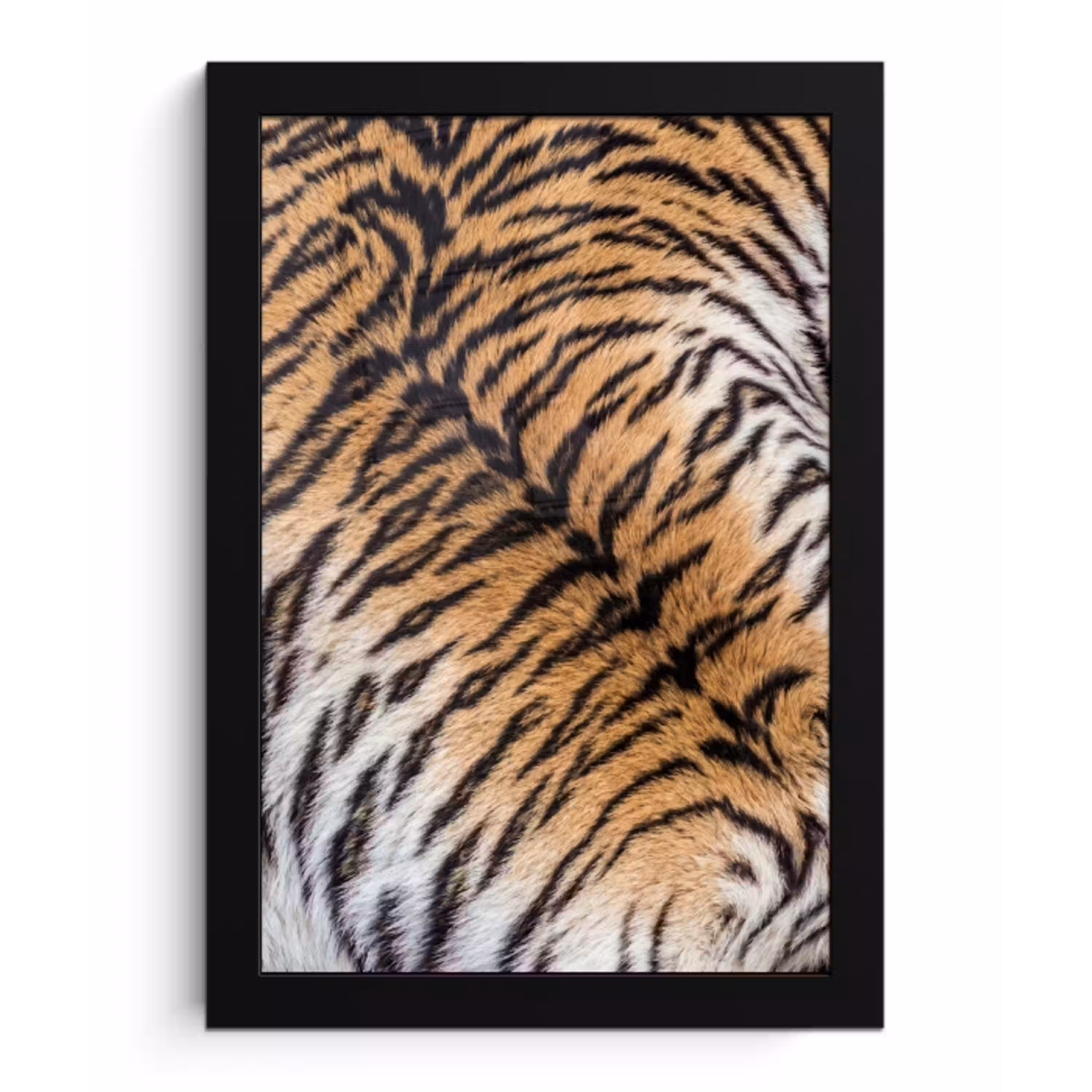 Realistisch - Tijgervacht - Zwart fotolijst zwart zonder passe partout klein -3d