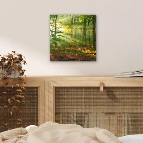 Zon - Bos - Bomen - Natuur - Herfst aluminium wit klein -sfeer3