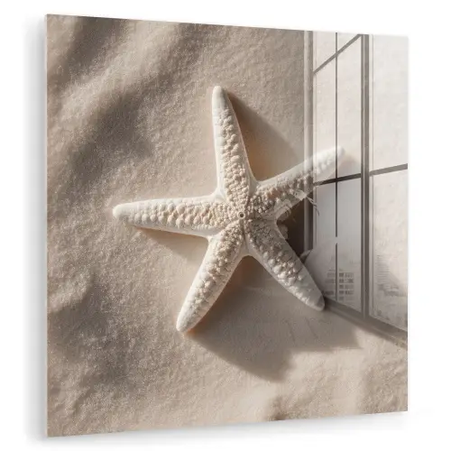 Strand - Zeester - Zand - Beige plexiglas 5mm klein -zzzproduct_nieuw