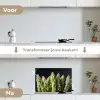 Asperges - Groen - Zwart keuken achterwand spatscherm klein -voor_na_NL