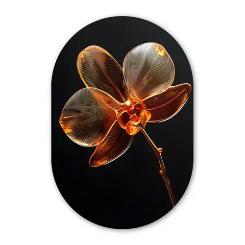 Orchidee - Doorzichtig - Bloem Wandcirkel Ovaal Glas middel -3d