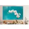 Orchidee - Bloemen - Plant - Wit - Paars forex 5mm xxl -bovenbank