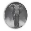 Olifant - Zwart - Wit - Rook Akoestische PET Vilt - Rond klein -3d