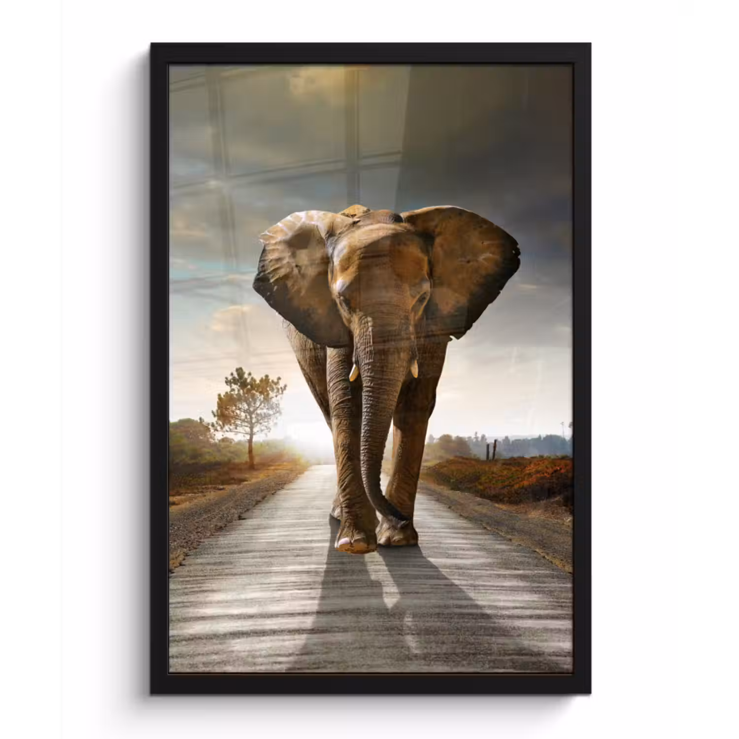 Poster met lijst - Olifant - Weg - Dieren - Zonsondergang - Landschap