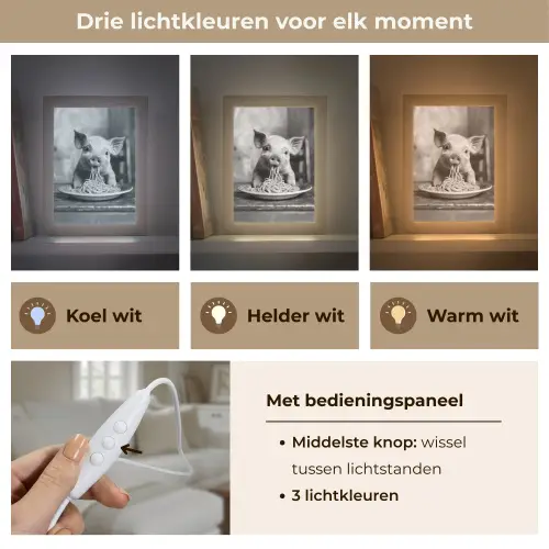 Varken - Schattig - Spaghetti - Zwart wit - Dier Light Box met kabel (Tafellamp) klein -USP_lichtkleurNL