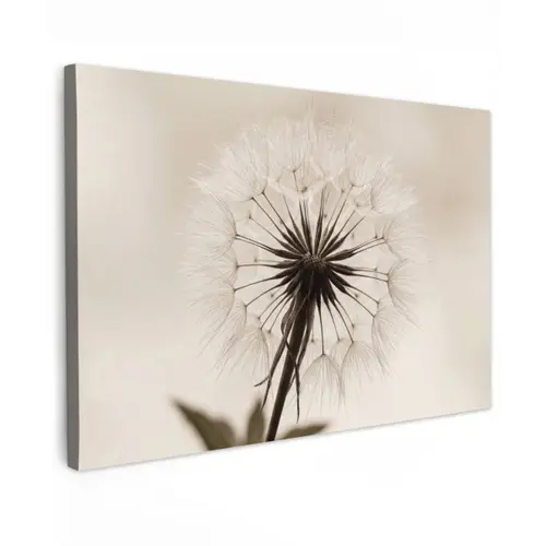Paardenbloem - Minimalistisch - Wit canvas 2cm klein -z3d