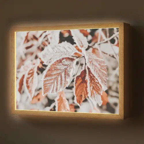 Bladeren - IJs - Winter - Natuur Light Box met batterij (Wandlamp) middel -z3d_website