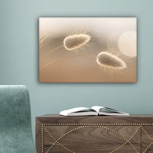 Hazestaartgras - Graanharen - Zonlicht canvas 2cm klein -sfeer4