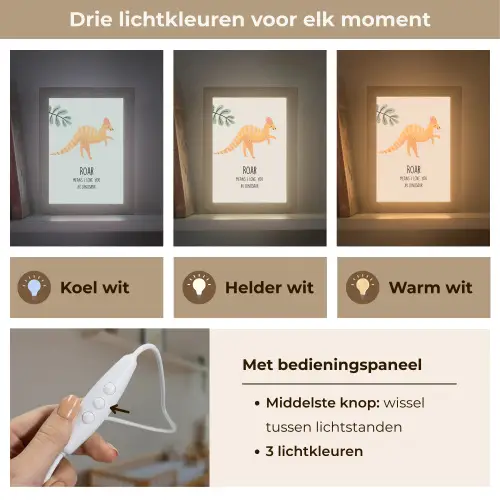 Dino - Quote - Dinosaurus - Beige Light Box met kabel (Wandlamp kind) klein -USP_lichtkleurNL