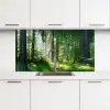 Natuur - Bomen - Bos - Groen - Zon - Gras - Planten keuken achterwand 2 middel -3d